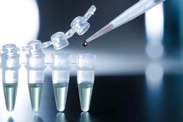 ed_stem-cell-image dental stem cell